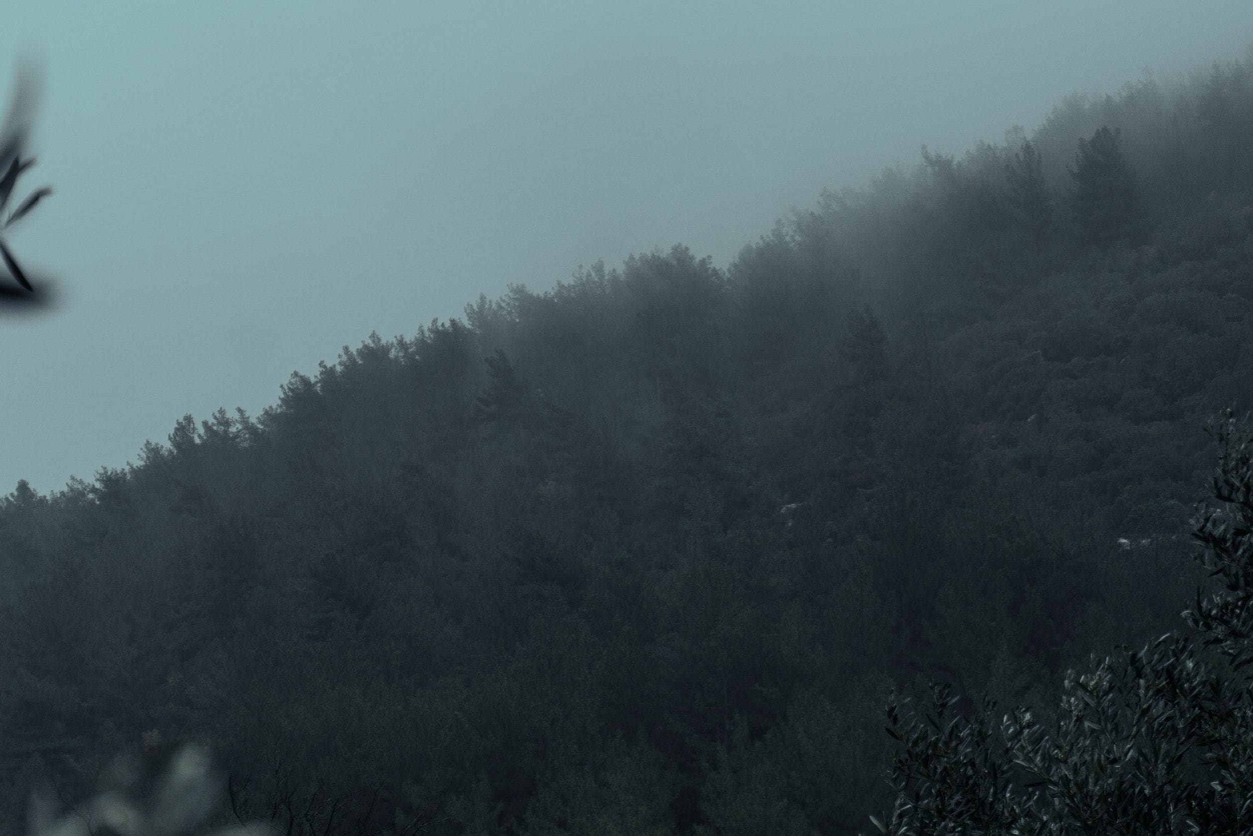 Misty autumn forest at sunrise, symbolizing the thinning of the veil