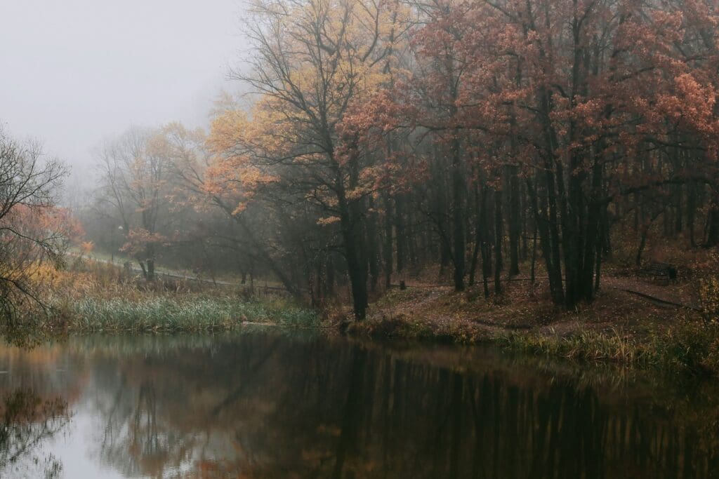 Calm lake reflecting autumn trees in morning mist, representing seasonal reflection and inner stillness
