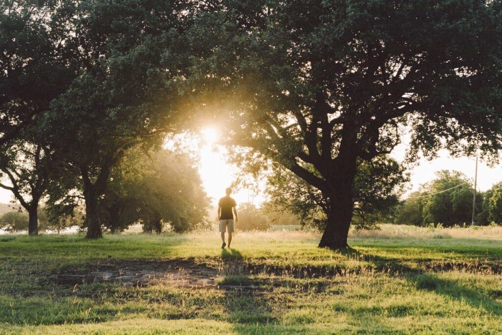 Man walking towards sunset behind trees