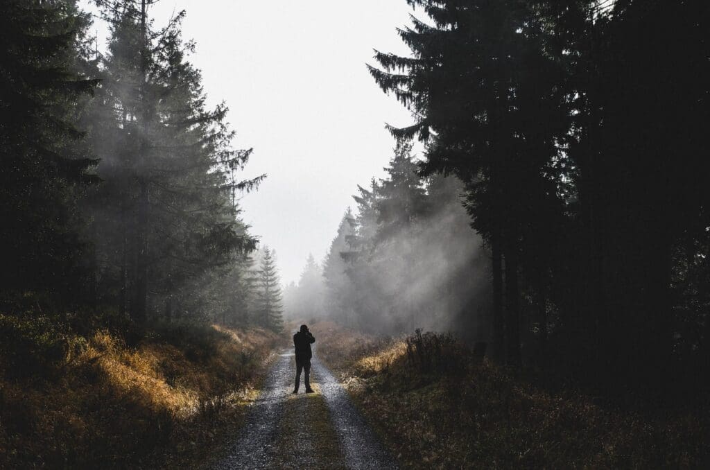 Someone standing at a distance on a path in the forest