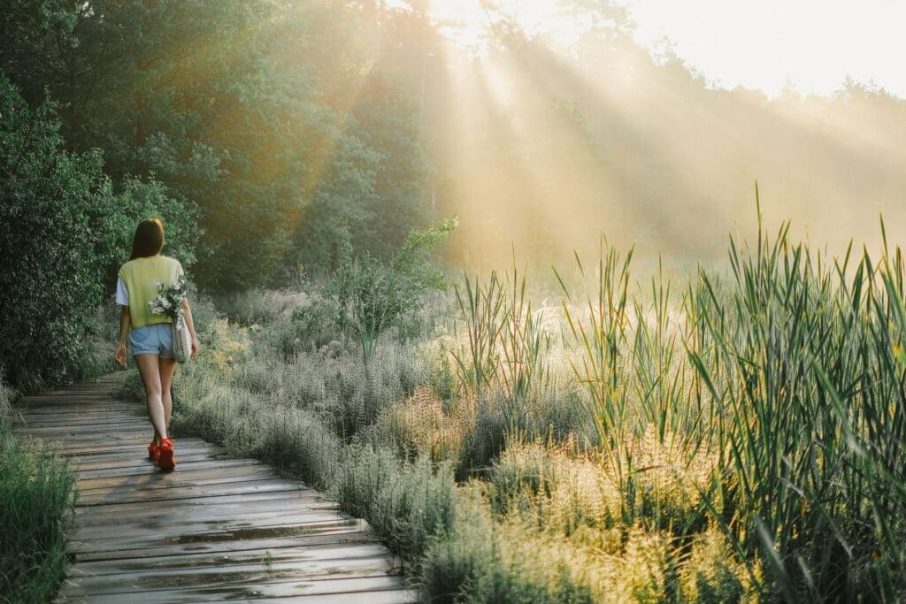 Woman walking along a wooden boardwalk through tall grass, morning sunlight streaming through the trees ahead.